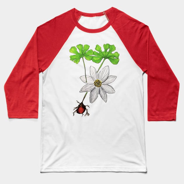 Bloodroot Flower Baseball T-Shirt by Animal Surrealism